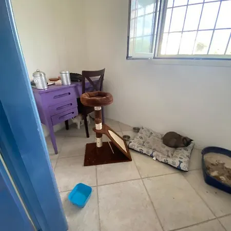 A Casa Con Giulia Отель типа 